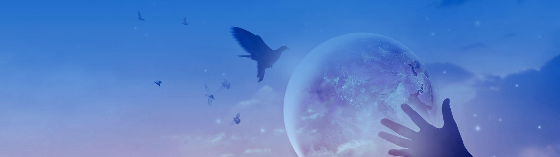 ����ᡤjnh(�й���)�ٷ���վ���